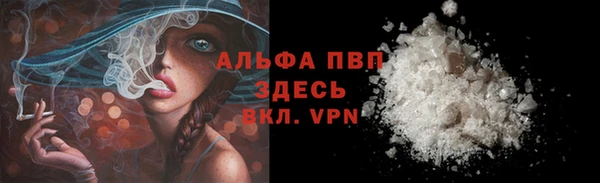 a pvp Абаза