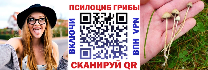 наркошоп  Морозовск  Галлюциногенные грибы Magic Shrooms 
